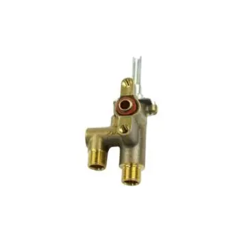Samsung DG94-00880A Assembly Valve Power