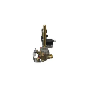Samsung DE81-03461A SVC-BSNGL BRNR VALVE PGM36