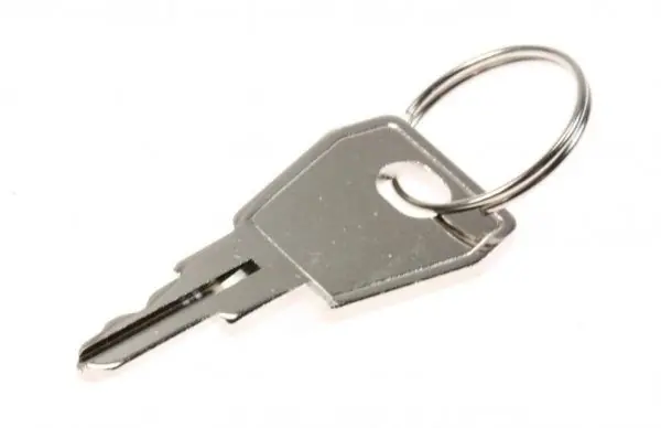 Liebherr 704334100 Key