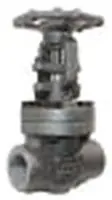 Bonney Forge V100335A 3/4 H-11-T Gate Vlv 800# FP