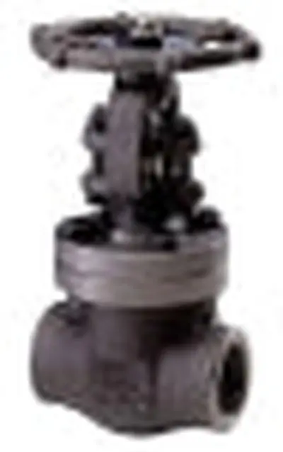BONNEY FORGE V101370A 2 BONNEY HL-31-THRD FS GLOBE VALVE