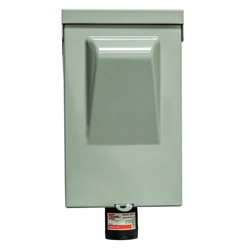 Rheem 96419 Disconnect Switch 60A Non-Fu