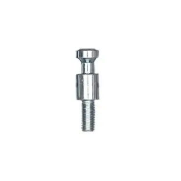 Bosch 10011752 Screw