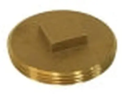 EVERFLOW COPR010 Clean Out Plug 10 Brass