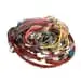 Blomberg 260605049 Cable Group