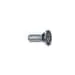 Blomberg 5752030200 Screw M5 16