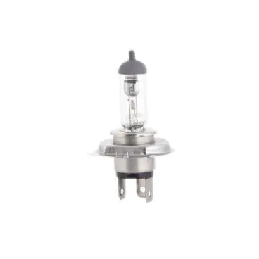 Bosch 10019151 Lamp