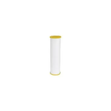 GE FTHTM POE Replacement Filter