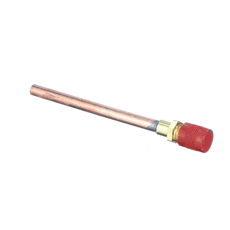 GE WR87X30876 R600 Process Valve W/ Red Cap