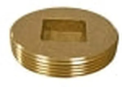 EVERFLOW COPC500 5 BRASS CLEAN OUT PLUG