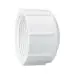 LASCO 448-010 SCH40 PVC THRD CAP 1 SCH40 PVC THRD CAP