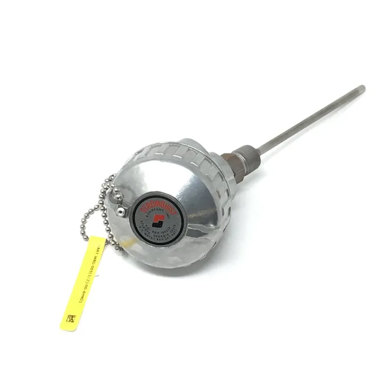 Pyromation J48G-005.5-00-6HN31 5.5in Type J-1/4in 316SS Sheath - 1/2in