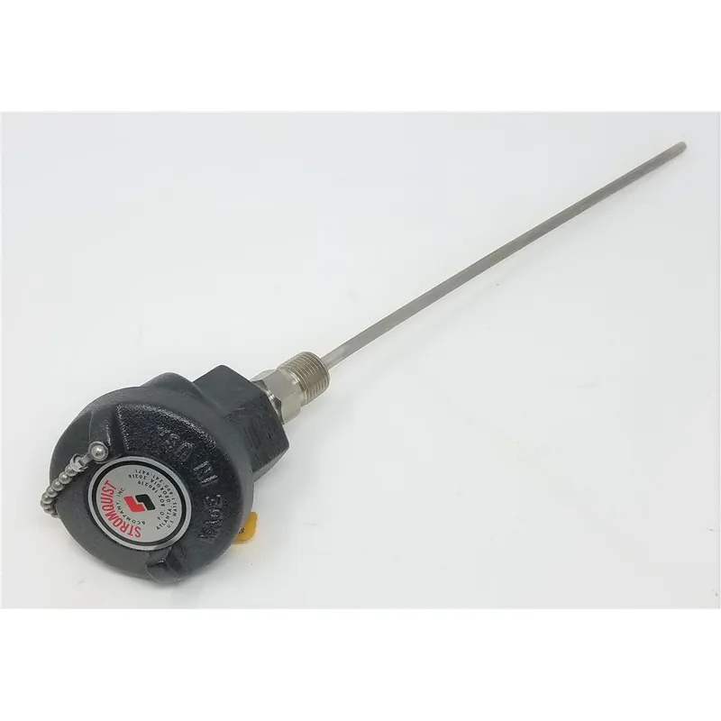Pyromation T48G-012-00-8HN34 12in Type T-1/4in 316SS Sheath 1/2in NPT