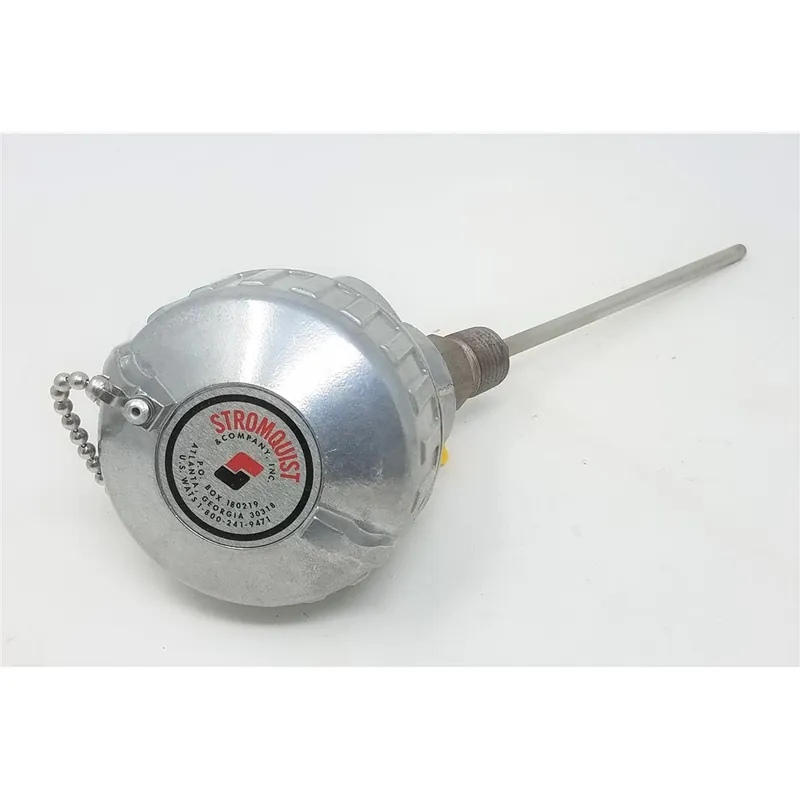 Pyromation R1T185L483-006-00-6HN31 6 inch RTD 3 wire .25 dia 316 SS