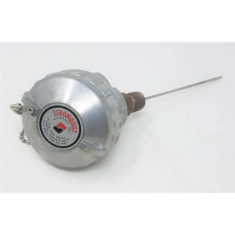 Pyromation J28G-006-00-6HN31 6in Type J-1/8in 316SS Sheath 1/2in NPT