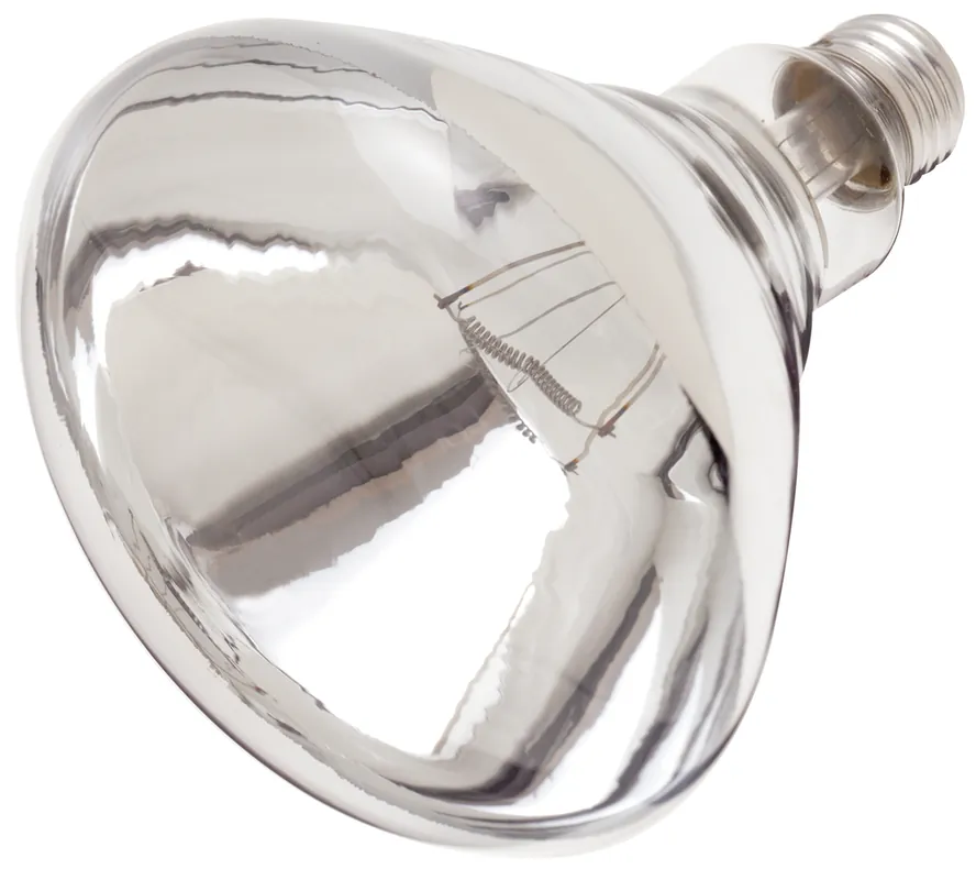 Satco S4885 Incandescent Shatter Proof Lamp 250 Watt R40