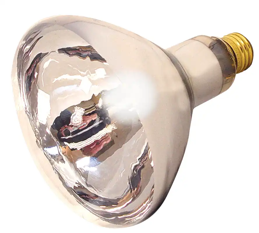 Satco S4750 125 Watt R40 Incandescent Clear Heat Lamp