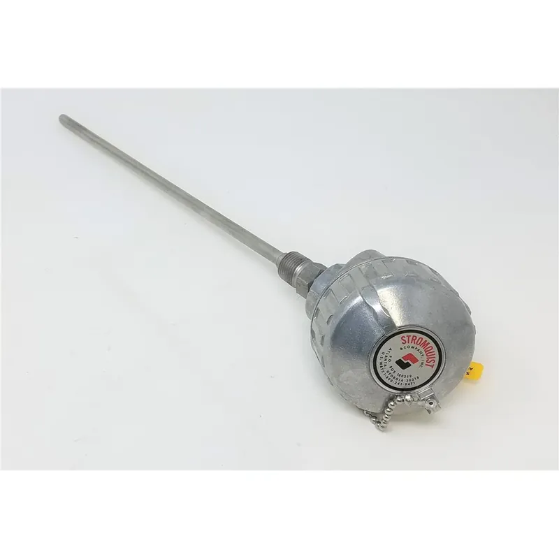 Pyromation J68G-024-00-6HN31 24in Type J-3/8in 316SS Sheath 1/2in NPT