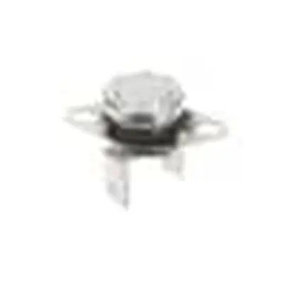 Bertazzoni Z120311 MAGTHERMOSTAT 180 Degrees