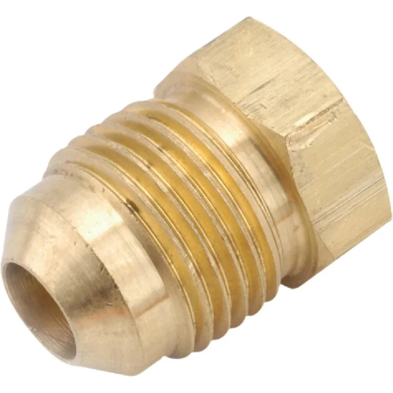 Anderson Metals 754039-04 1/4 In. Brass Flare Plug