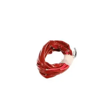 Bertazzoni Z160208 POWER CORD
