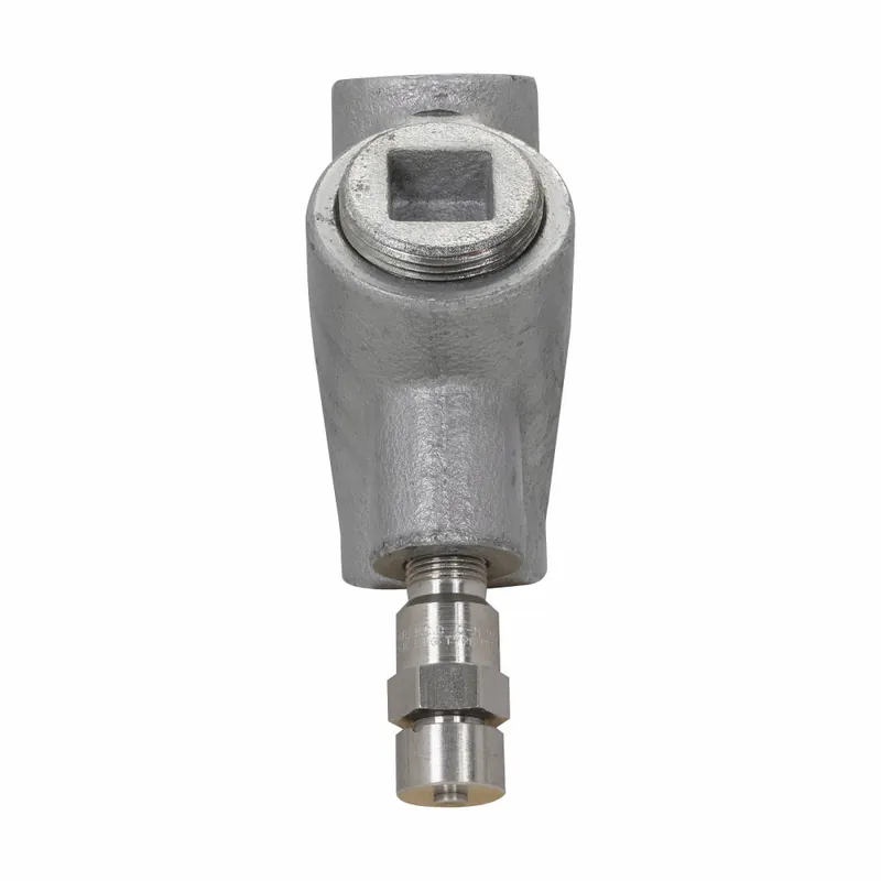 Eaton EYDX61 2-IN DRN SL Expanded Fill Sealing Fitting with Drain